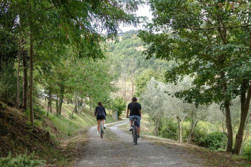 Agroturismo Agriturismo Montelovesco