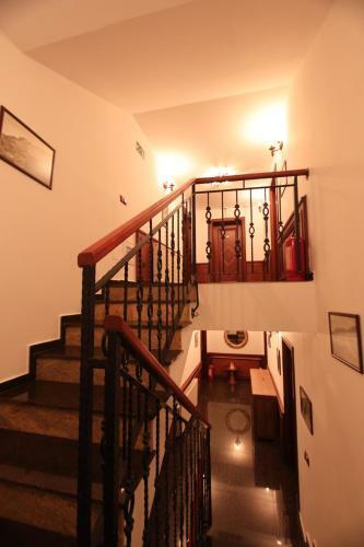 Zambaku I Bardhe Hotel & Bar