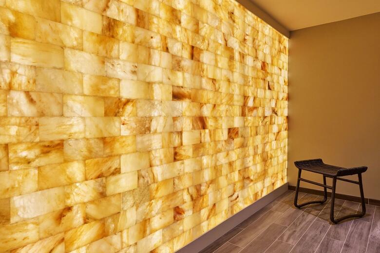 Hotel Ritz Carlton Buckhead