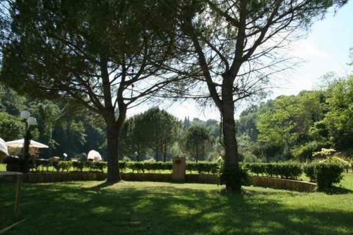 Agroturismo Agriturismo Podere Bucine Basso