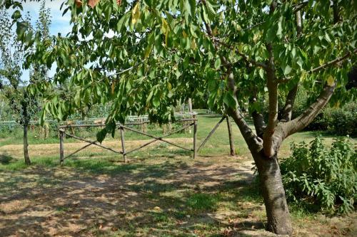 Agroturismo Cevoli Country Resort