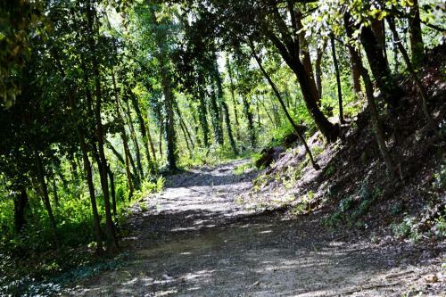Agroturismo Cevoli Country Resort