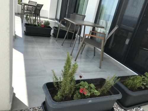 Apartamento Mert Homes