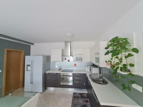 Apartamento Stanovanje V Mirni Zeleni Okolici
