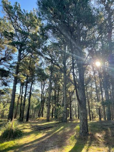 Casa Alma - Bosque Y Playa En Pinamar