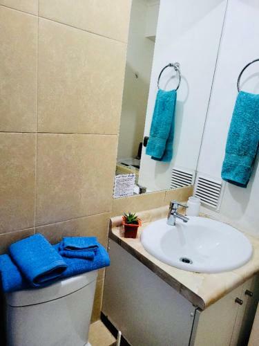 Apartamento Departamento En Concepcion Por D�a