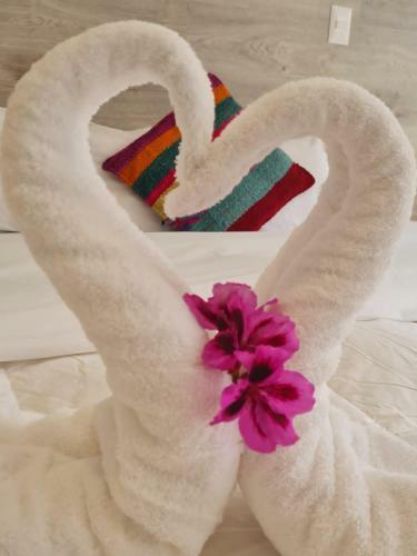 Hotel Cusco