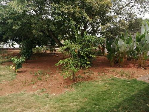 Apartamento Casa Amueblada A 1.2 Km Del Centro De David