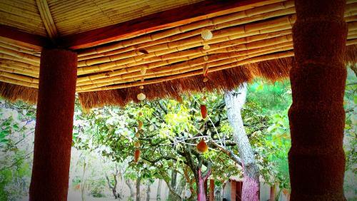 Lodge Naturubuntu