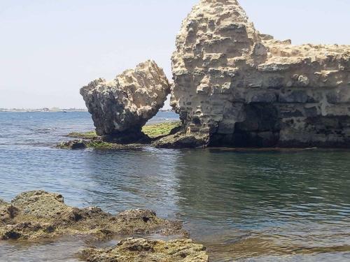 Apartamento La Grande Bleue