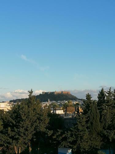 Dar El Marsa