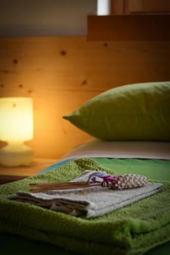 B&B Acquariana Belluno