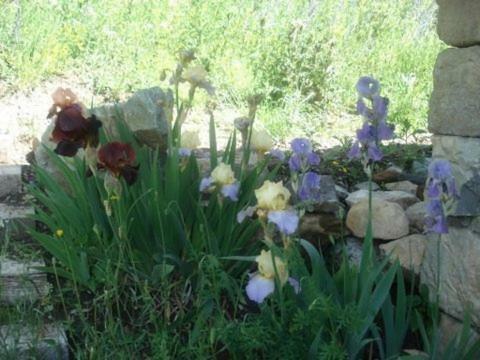 Bed & Breakfast Ch�teau Serigues