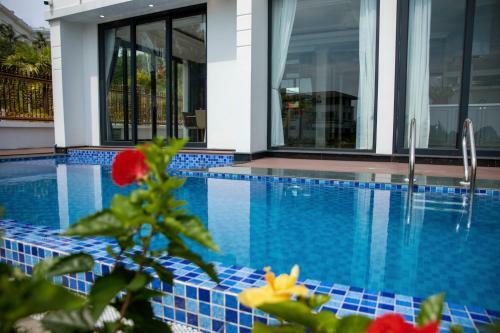 Hotel Q&e Villa