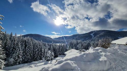 Almchalet Sunset- Carinthia / Flattnitz / 1650m