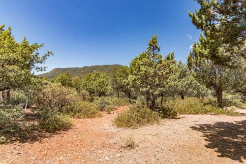Glass House Elk Rim Pine Cabin