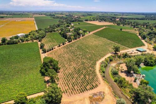 Provence Estate Nestled Along Lodi Wine Trails