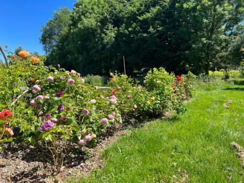 Hostal Maison D'h�tes Le Charme Du Champs Claire