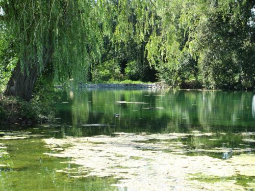 Bed & Breakfast La Marronni�re Des Gadeaux