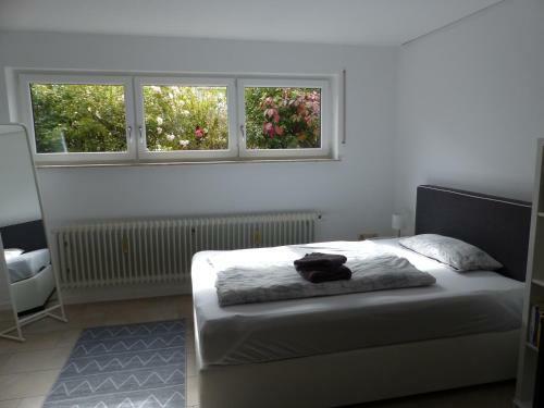 Apartment Sonnenschein
