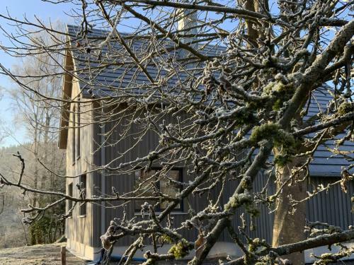 Ferienhaus Baiersbronn Lug Ins Tal