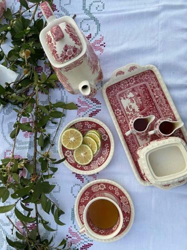 Bed & Breakfast Plantacia