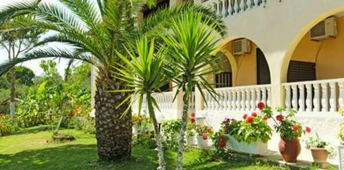 Apartamento Boomerang Studio's