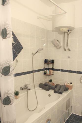 Pool Apartment Cvita Du?e