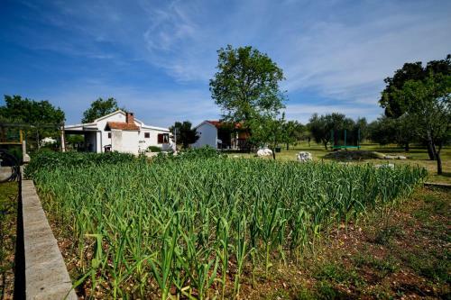 Country House Oasis