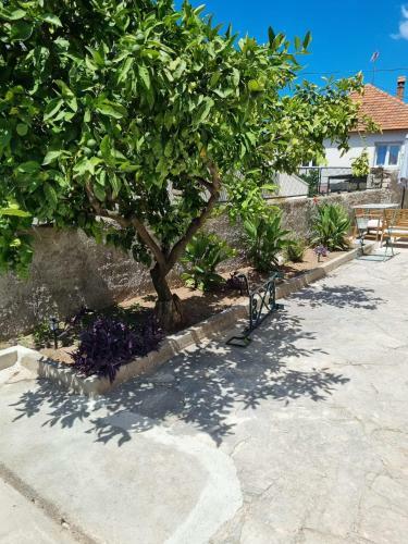 Apartmani Barbaro?a