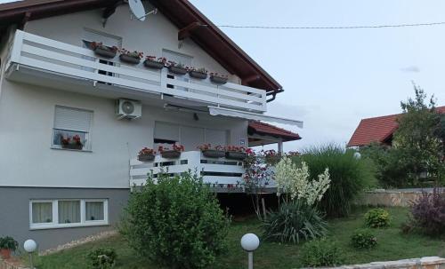 Apartment Msn