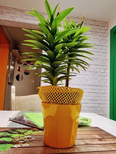 Apartamentos Happy Sparrow