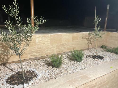 Vila Regina Apartman Rex