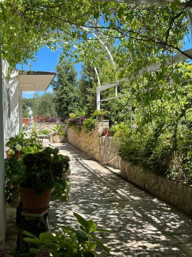 Gorana Apartman With Swimming Pool