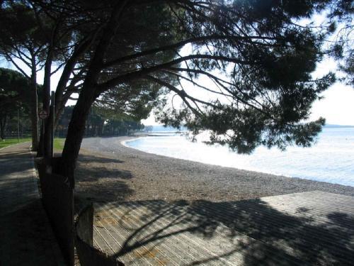 Apartment In Fazana Istrien 8632