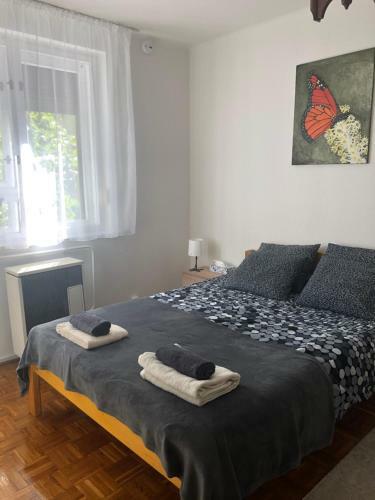 Karman Apartman - 2 Bed Flat, Max 4 Pers, Central Jaszbereny