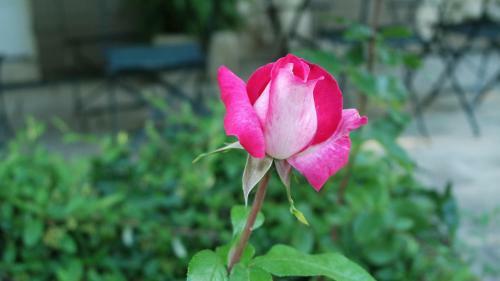 Bed & Breakfast Mas Grimaud - Chambres D'h�tes Familiales