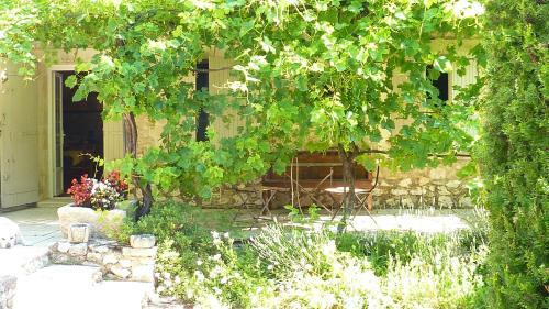Bed & Breakfast Mas Grimaud - Chambres D'h�tes Familiales