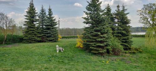 Agroturismo Go?ciniec Sz�stak