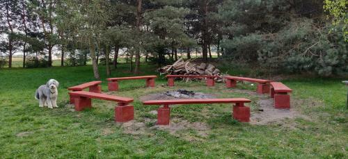 Agroturismo Go?ciniec Sz�stak