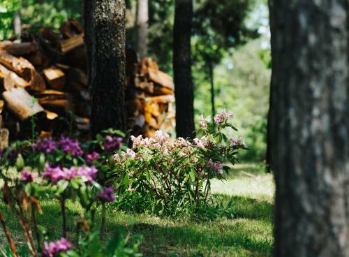Domki Na Mazurach - Summer House Czerwonki