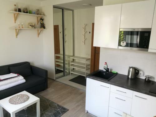 Vilnius Town Apartmen