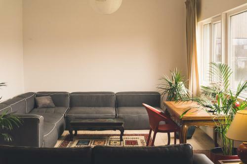 Hostal Large Guest House, Shared With The Hosts, Convenient With Children
