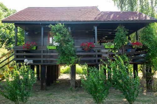 Marine House Makis