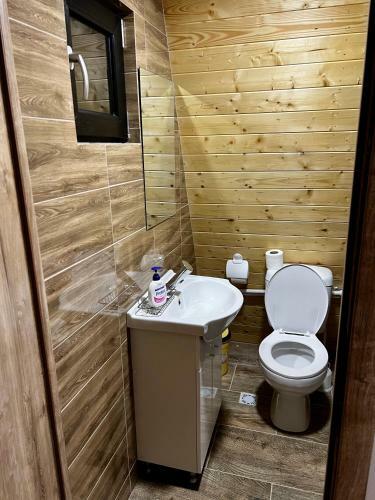 Case De Vacan?? �n Bucovina
