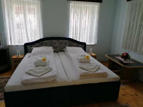 Hostal Pensiunea Spack