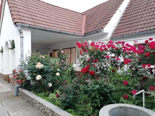 Hostal Pensiunea Spack