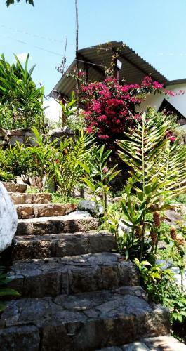 Hotel Finca Campestre Rancho Alegre