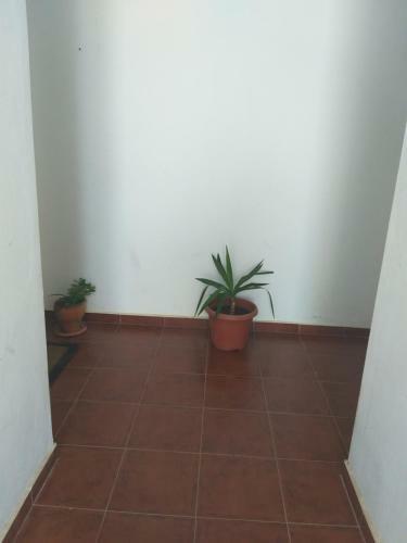 Apartamento Bel Appartement Meubl� B 16
