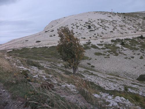 Le Jas De La Louberie